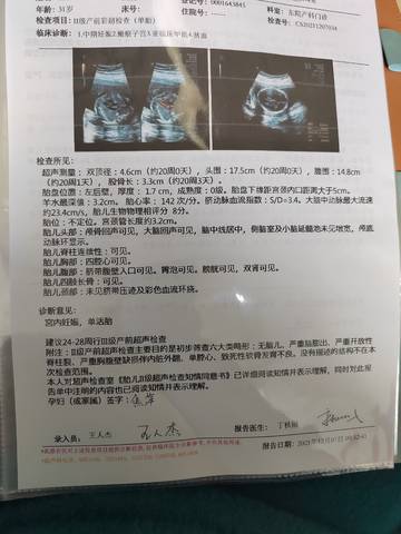 journal_insert_pic_1675313212
