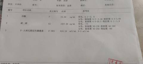 journal_insert_pic_1690103306