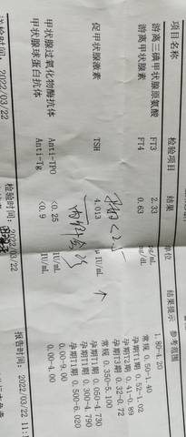 journal_insert_pic_1741142136