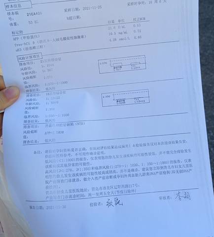 journal_insert_pic_1674645694