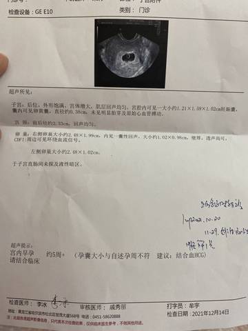 journal_insert_pic_1679977328