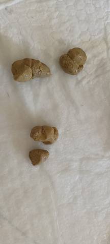 journal_insert_pic_1683118446