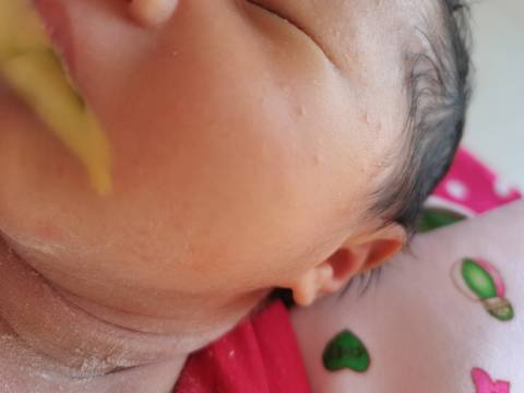 journal_insert_pic_1687577185