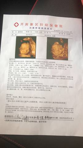 journal_insert_pic_1741071174