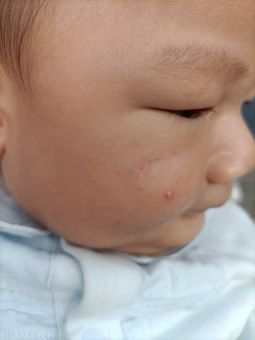 journal_insert_pic_1681032112