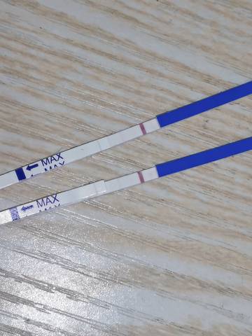 journal_insert_pic_1719680950