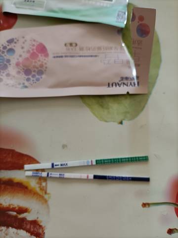journal_insert_pic_1686612401