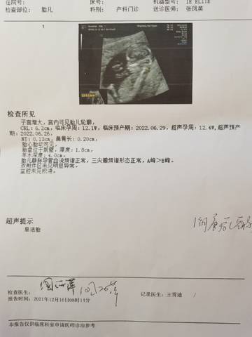 journal_insert_pic_1689001996