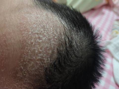 journal_insert_pic_1683976495