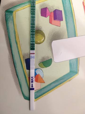 journal_insert_pic_1681357834