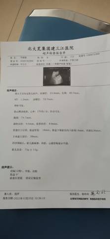 journal_insert_pic_1685827782