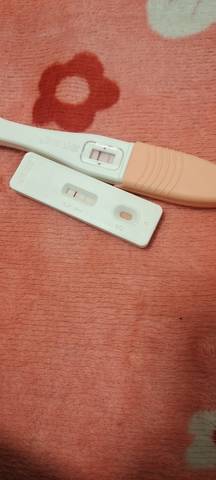 journal_insert_pic_1685631300