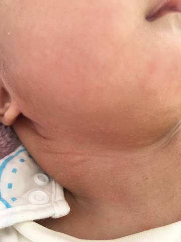 journal_insert_pic_1675506136