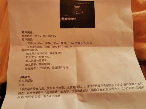 journal_insert_pic_1741113300