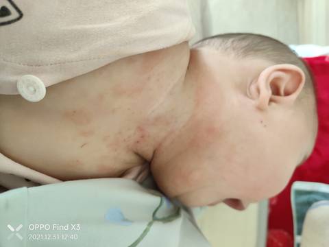 journal_insert_pic_1689529159