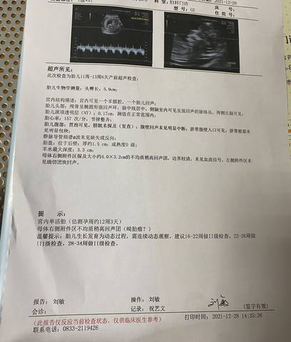 journal_insert_pic_1687775165