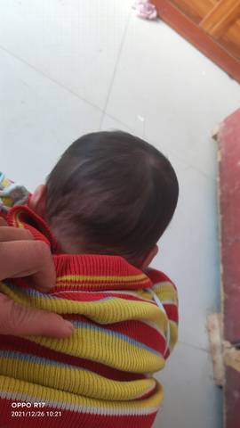 journal_insert_pic_1686465549