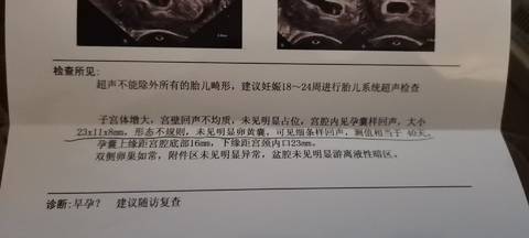 journal_insert_pic_1687206088