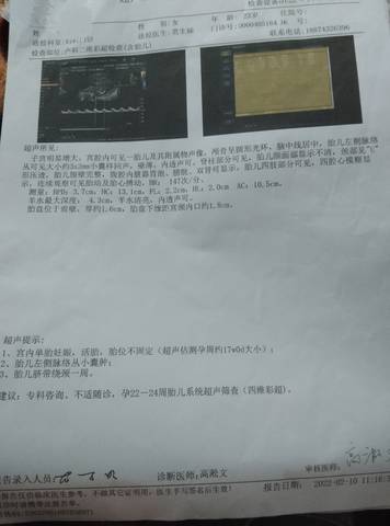 journal_insert_pic_1741021691