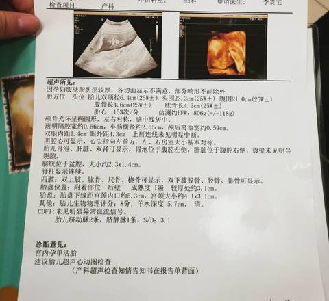 journal_insert_pic_1682623221