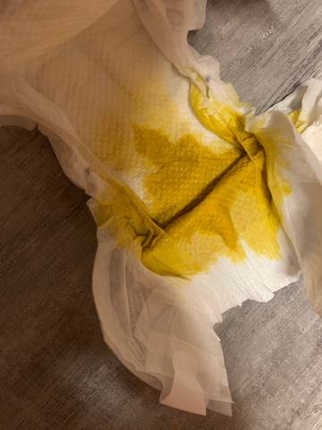 journal_insert_pic_1685310816