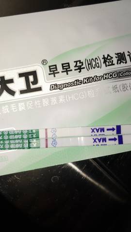 journal_insert_pic_1682944906