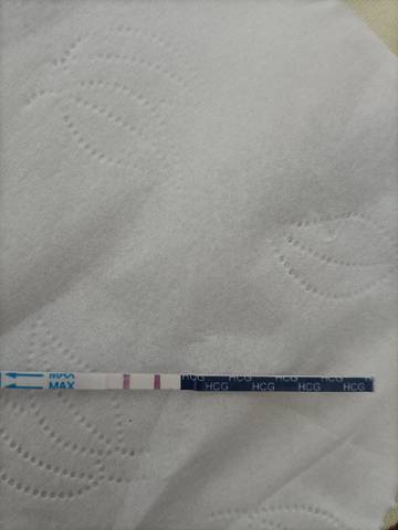 journal_insert_pic_1676191183