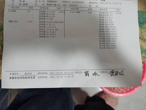 journal_insert_pic_1681608088
