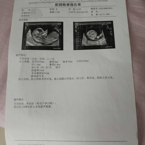 journal_insert_pic_1682626443