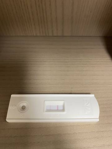 journal_insert_pic_1686205241