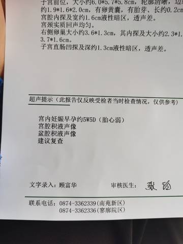 journal_insert_pic_1685333526