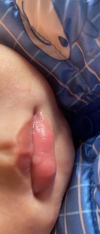 journal_insert_pic_1677976398