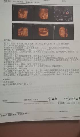 journal_insert_pic_1681581124