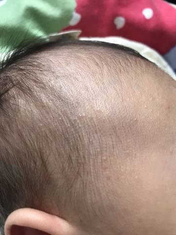 journal_insert_pic_1676691978