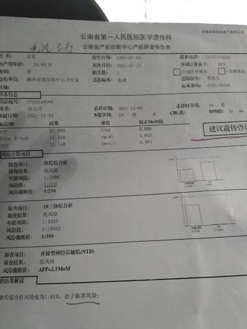 journal_insert_pic_1677367067