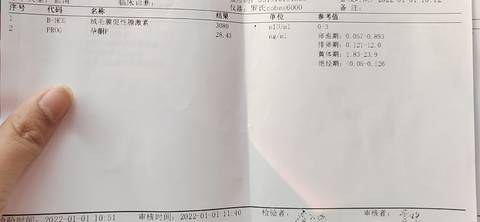 journal_insert_pic_1690045324