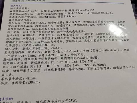 journal_insert_pic_1684960373