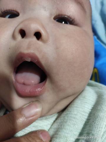 journal_insert_pic_1741135403