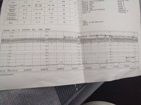 journal_insert_pic_1679544356