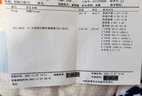 journal_insert_pic_1673998762