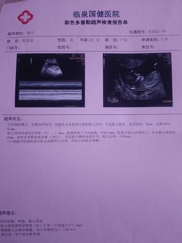journal_insert_pic_1680129972
