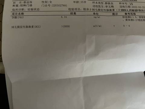journal_insert_pic_1741046881