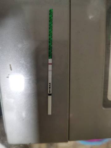 journal_insert_pic_1684578305