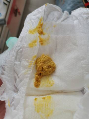 journal_insert_pic_1682505311