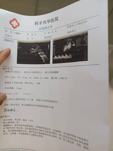 journal_insert_pic_1673147821
