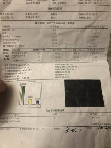 journal_insert_pic_1678208544