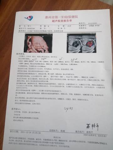 journal_insert_pic_1719431689