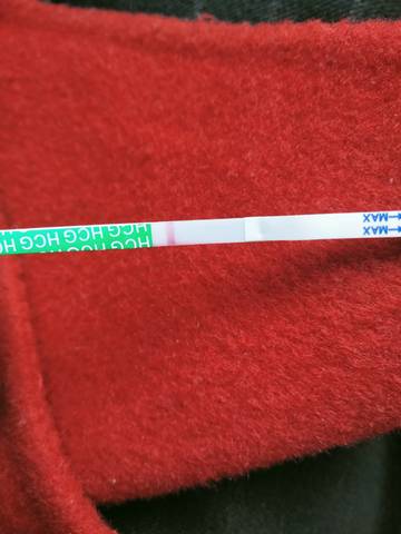 journal_insert_pic_1674223798