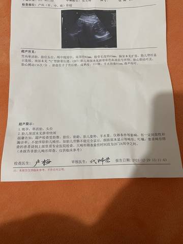 journal_insert_pic_1688512253
