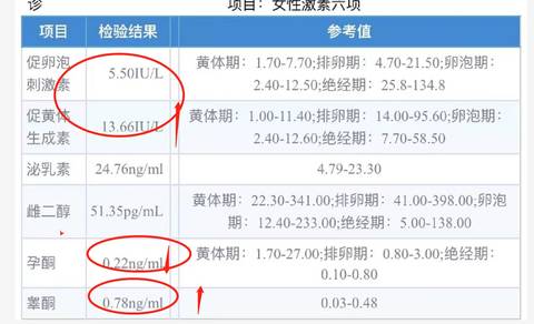 journal_insert_pic_1683627235